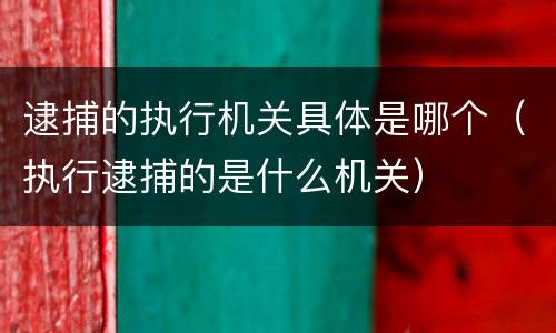 逮捕的执行机关具体是哪个（执行逮捕的是什么机关）
