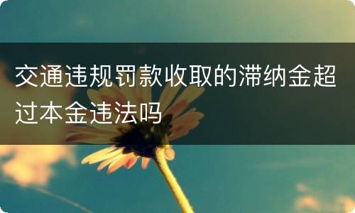 交通违规罚款收取的滞纳金超过本金违法吗