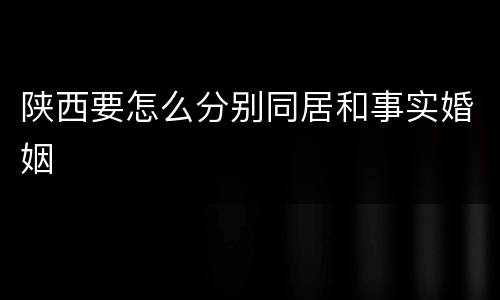 陕西要怎么分别同居和事实婚姻