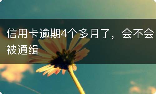 信用卡逾期4个多月了，会不会被通缉