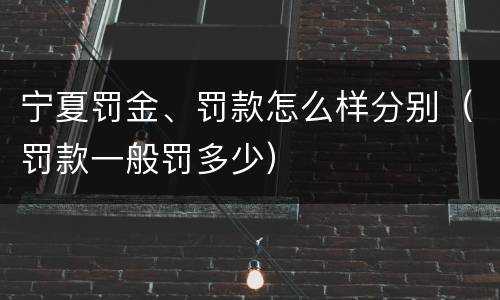 宁夏罚金、罚款怎么样分别（罚款一般罚多少）