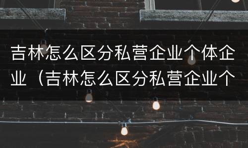 吉林怎么区分私营企业个体企业（吉林怎么区分私营企业个体企业和企业）