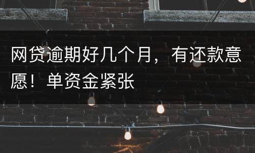网贷逾期好几个月，有还款意愿！单资金紧张