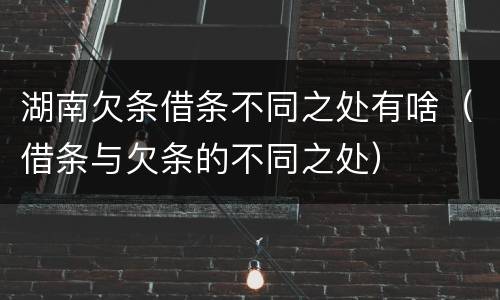 湖南欠条借条不同之处有啥（借条与欠条的不同之处）