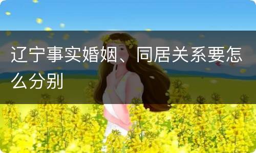 辽宁事实婚姻、同居关系要怎么分别