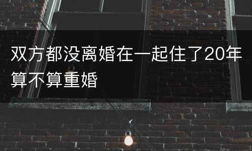 双方都没离婚在一起住了20年算不算重婚