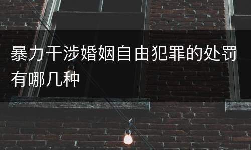 暴力干涉婚姻自由犯罪的处罚有哪几种