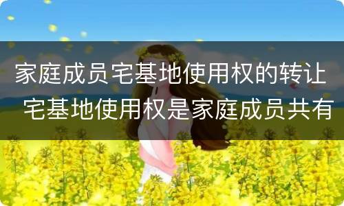 家庭成员宅基地使用权的转让 宅基地使用权是家庭成员共有吗?