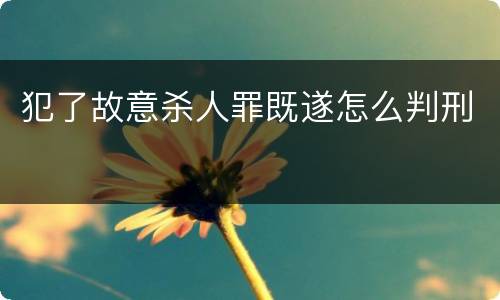 犯了故意杀人罪既遂怎么判刑