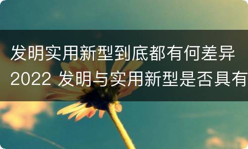 发明实用新型到底都有何差异2022 发明与实用新型是否具有实用性
