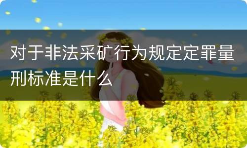 对于非法采矿行为规定定罪量刑标准是什么