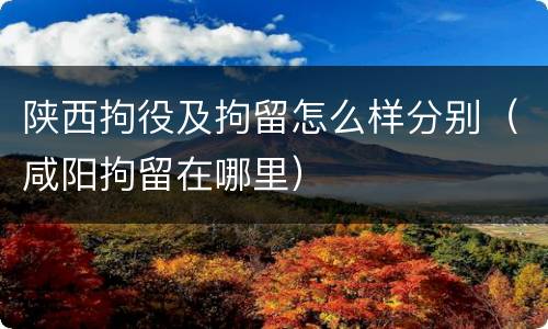 陕西拘役及拘留怎么样分别（咸阳拘留在哪里）