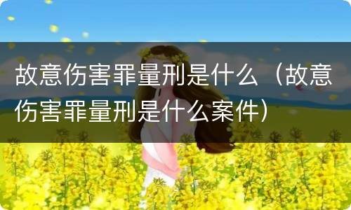 故意伤害罪量刑是什么（故意伤害罪量刑是什么案件）