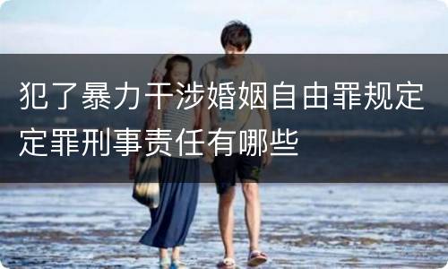 犯了暴力干涉婚姻自由罪规定定罪刑事责任有哪些