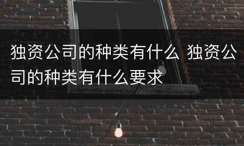 独资公司的种类有什么 独资公司的种类有什么要求