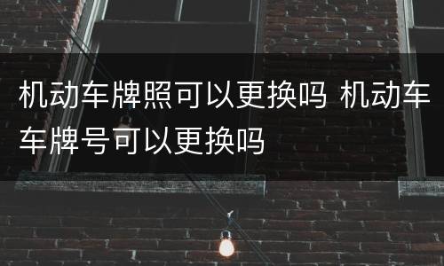 机动车牌照可以更换吗 机动车车牌号可以更换吗