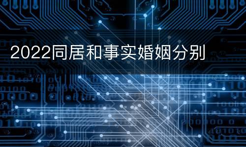 2022同居和事实婚姻分别
