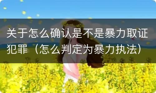 关于怎么确认是不是暴力取证犯罪（怎么判定为暴力执法）
