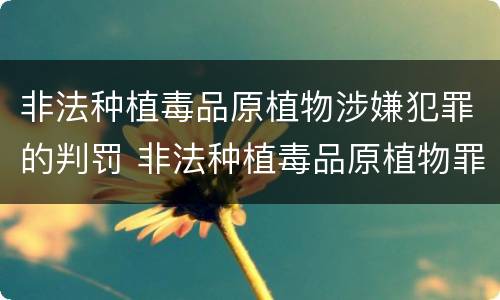 非法种植毒品原植物涉嫌犯罪的判罚 非法种植毒品原植物罪量刑