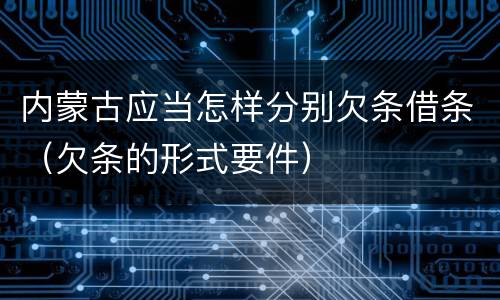 内蒙古应当怎样分别欠条借条（欠条的形式要件）
