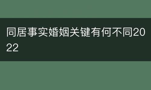 同居事实婚姻关键有何不同2022