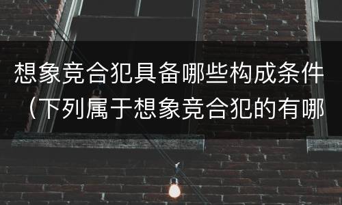 想象竞合犯具备哪些构成条件（下列属于想象竞合犯的有哪些）