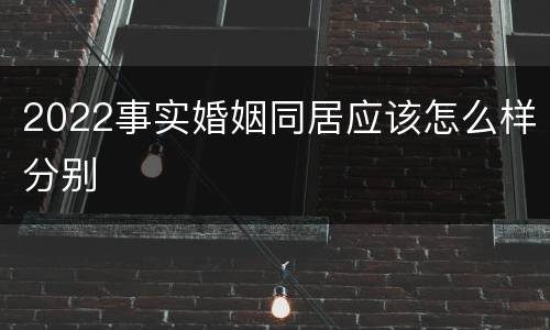 2022事实婚姻同居应该怎么样分别