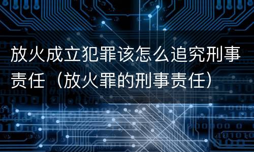 放火成立犯罪该怎么追究刑事责任（放火罪的刑事责任）