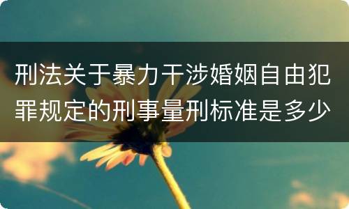 刑法关于暴力干涉婚姻自由犯罪规定的刑事量刑标准是多少