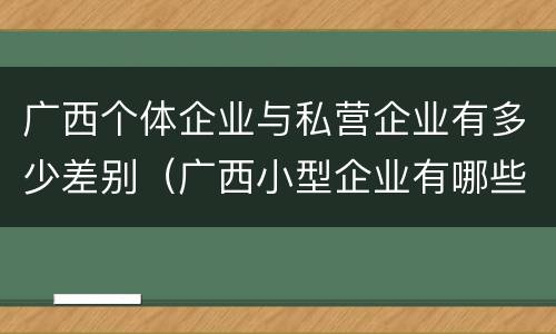 广西个体企业与私营企业有多少差别（广西小型企业有哪些）