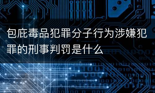 包庇毒品犯罪分子行为涉嫌犯罪的刑事判罚是什么