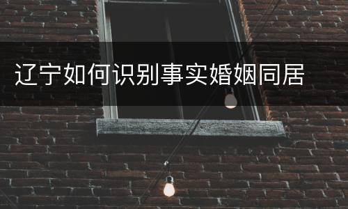 辽宁如何识别事实婚姻同居