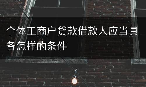 个体工商户贷款借款人应当具备怎样的条件