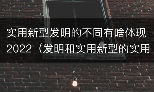 实用新型发明的不同有啥体现2022（发明和实用新型的实用性）
