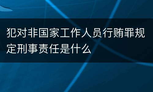 犯对非国家工作人员行贿罪规定刑事责任是什么