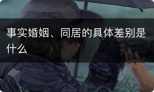 事实婚姻、同居的具体差别是什么