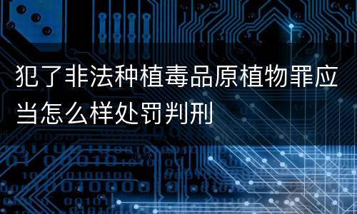 犯了非法种植毒品原植物罪应当怎么样处罚判刑
