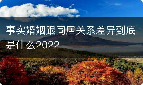 事实婚姻跟同居关系差异到底是什么2022