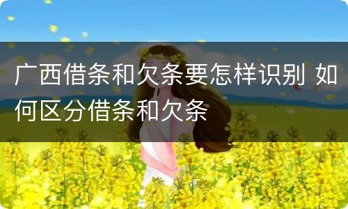 广西借条和欠条要怎样识别 如何区分借条和欠条