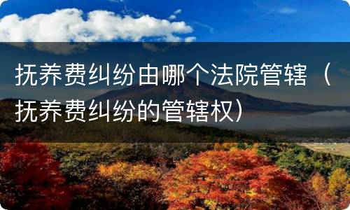 抚养费纠纷由哪个法院管辖（抚养费纠纷的管辖权）