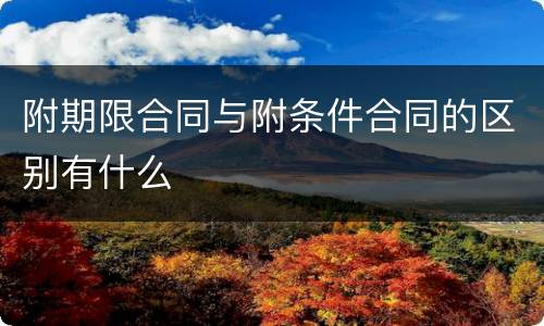 附期限合同与附条件合同的区别有什么