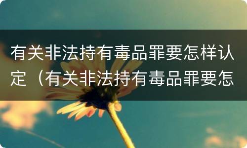 有关非法持有毒品罪要怎样认定（有关非法持有毒品罪要怎样认定呢）