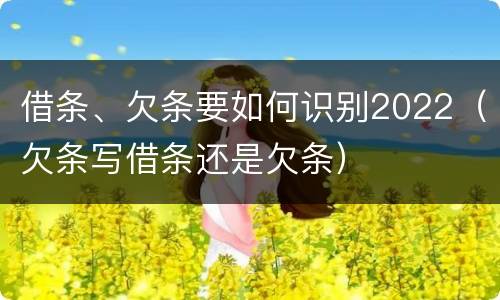借条、欠条要如何识别2022（欠条写借条还是欠条）