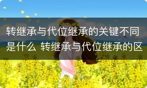 转继承与代位继承的关键不同是什么 转继承与代位继承的区别举例