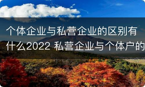 个体企业与私营企业的区别有什么2022 私营企业与个体户的区别