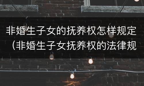 非婚生子女的抚养权怎样规定（非婚生子女抚养权的法律规定）