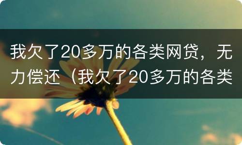 我欠了20多万的各类网贷，无力偿还（我欠了20多万的各类网贷,无力偿还会怎么样）