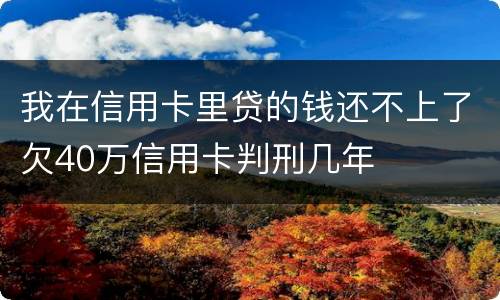 我在信用卡里贷的钱还不上了欠40万信用卡判刑几年