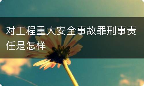 对工程重大安全事故罪刑事责任是怎样