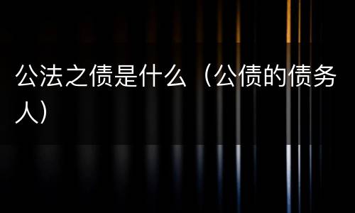 公法之债是什么（公债的债务人）
